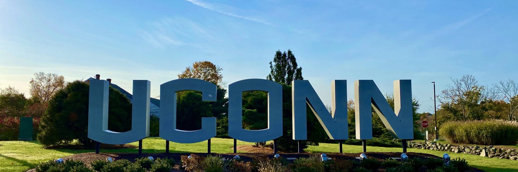 UConn logo